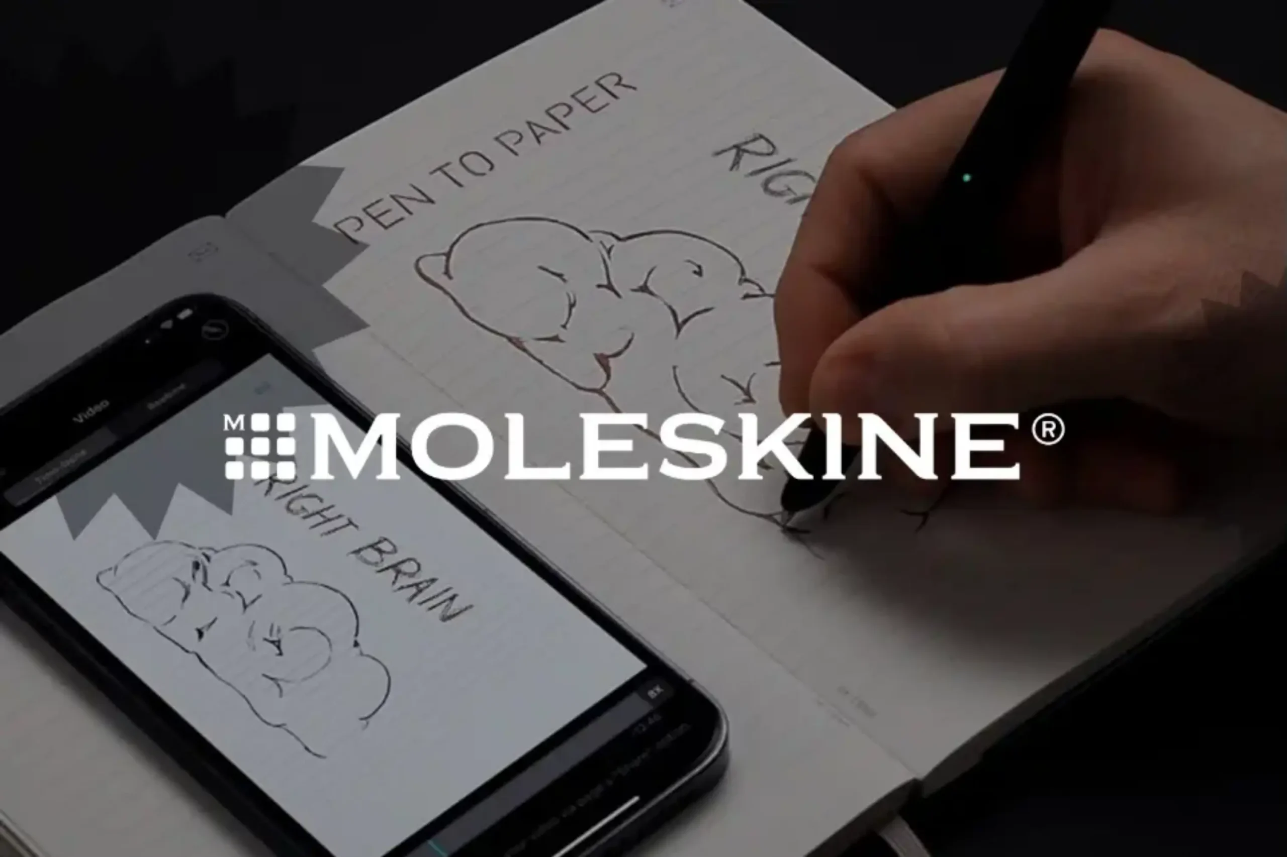 MOLESKINE
